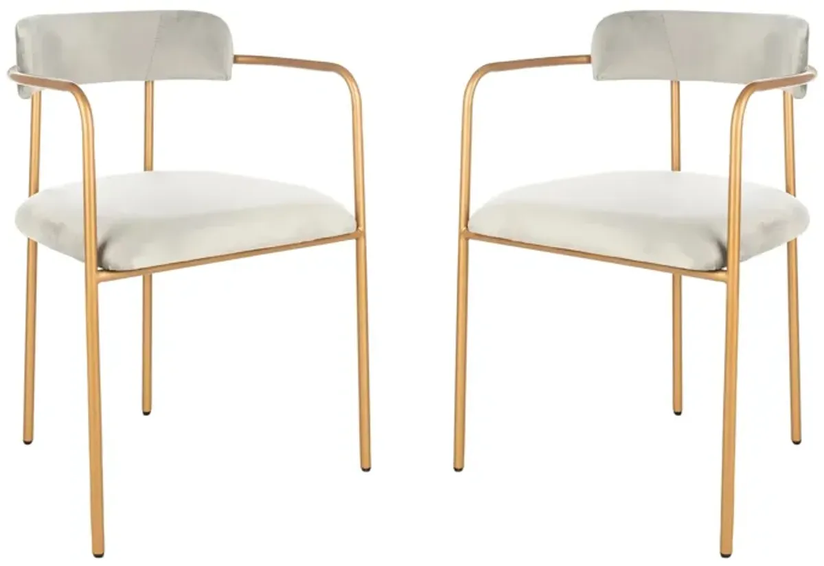 Camille Side Chair in Grey / Gold by Safavieh