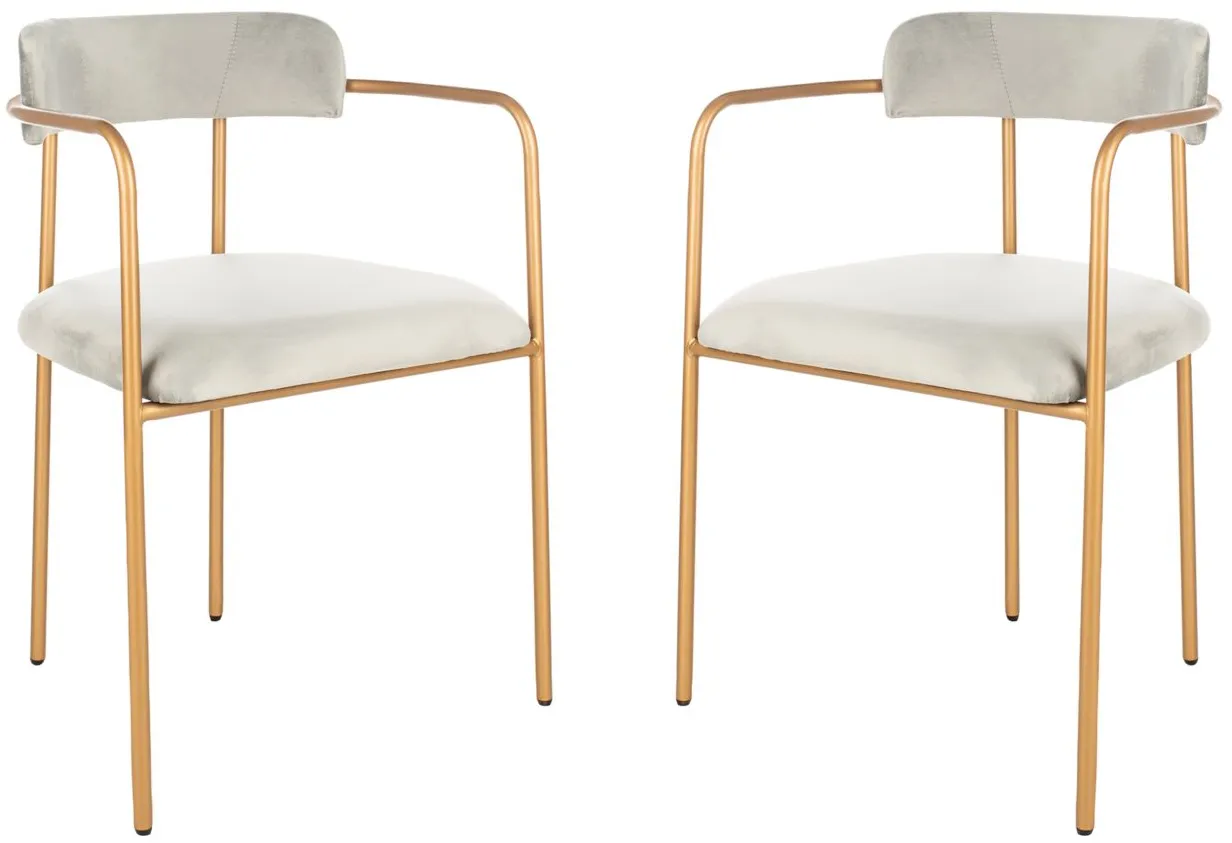 Camille Side Chair in Grey / Gold by Safavieh