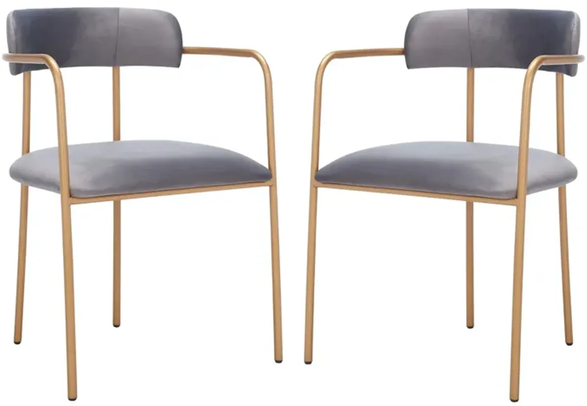 Camille Side Chair in Dark Grey / Gold by Safavieh