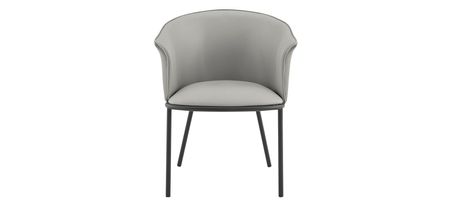 Seymor Dining Chair in Alpine Light Gray/Alpine Dark Gray by New Pacific Direct