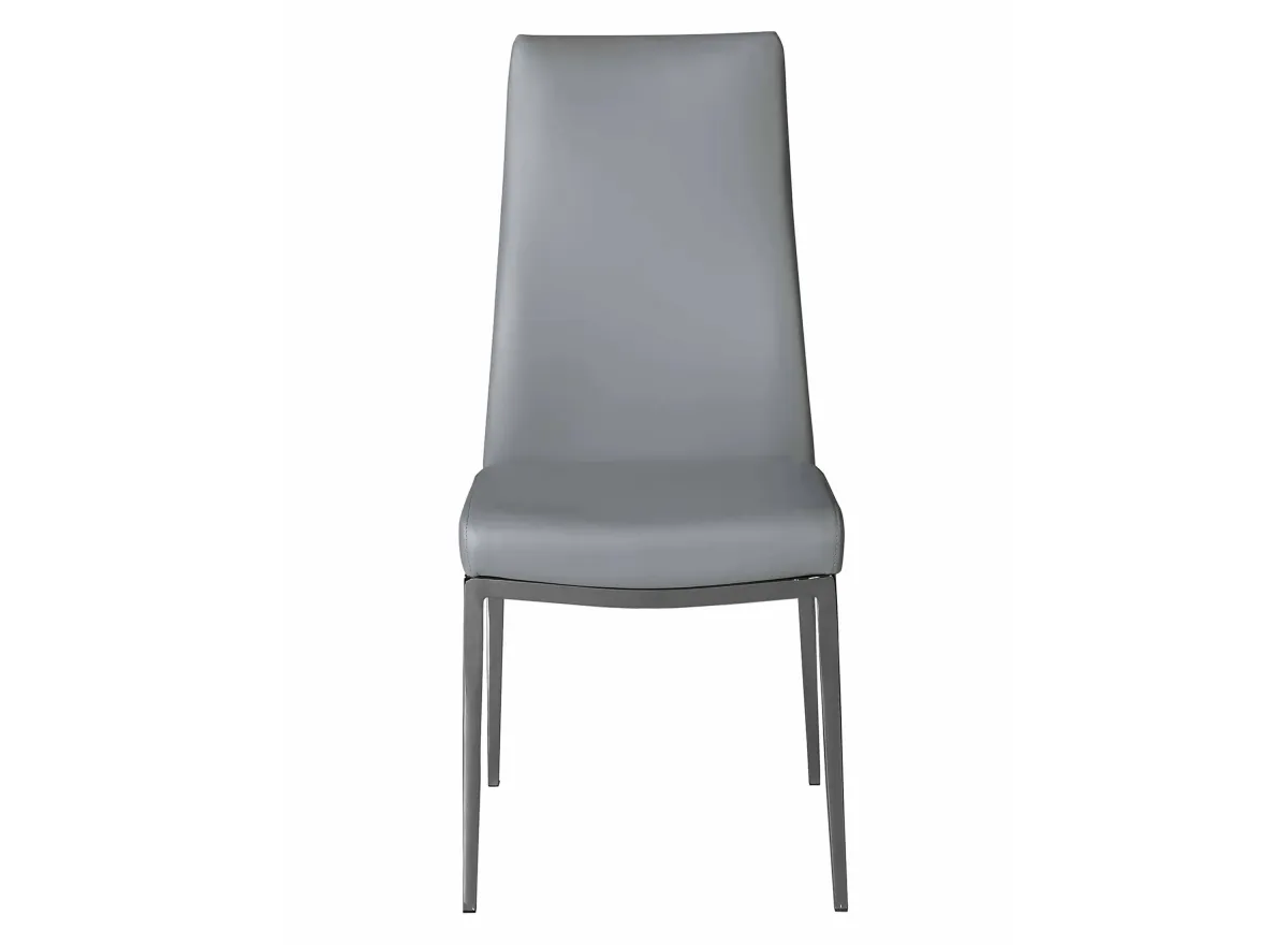 Kassidy Side Chair- Set of 2 in Gray by Chintaly Imports