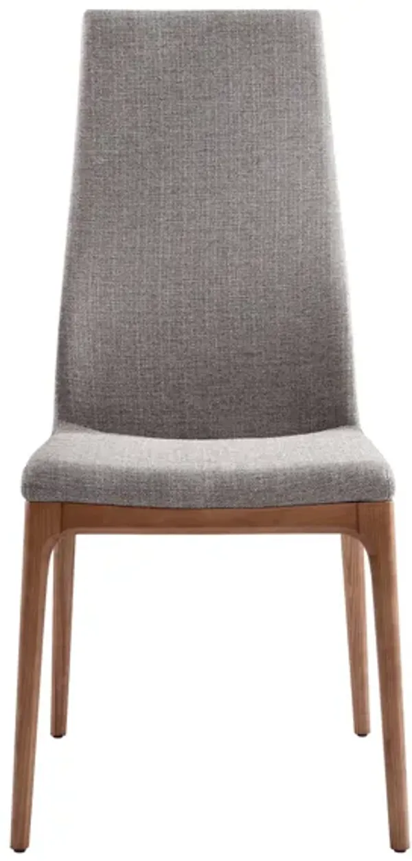 Parker Dining Chair - Set of 2