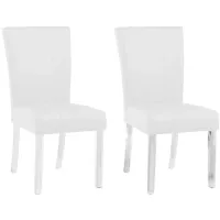 Roberts Side Chair - Set of 2 in White by Chintaly Imports
