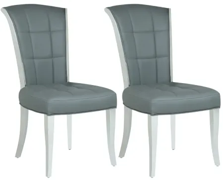 Irisi Dining Chair - Set of 2 in Gray by Chintaly Imports