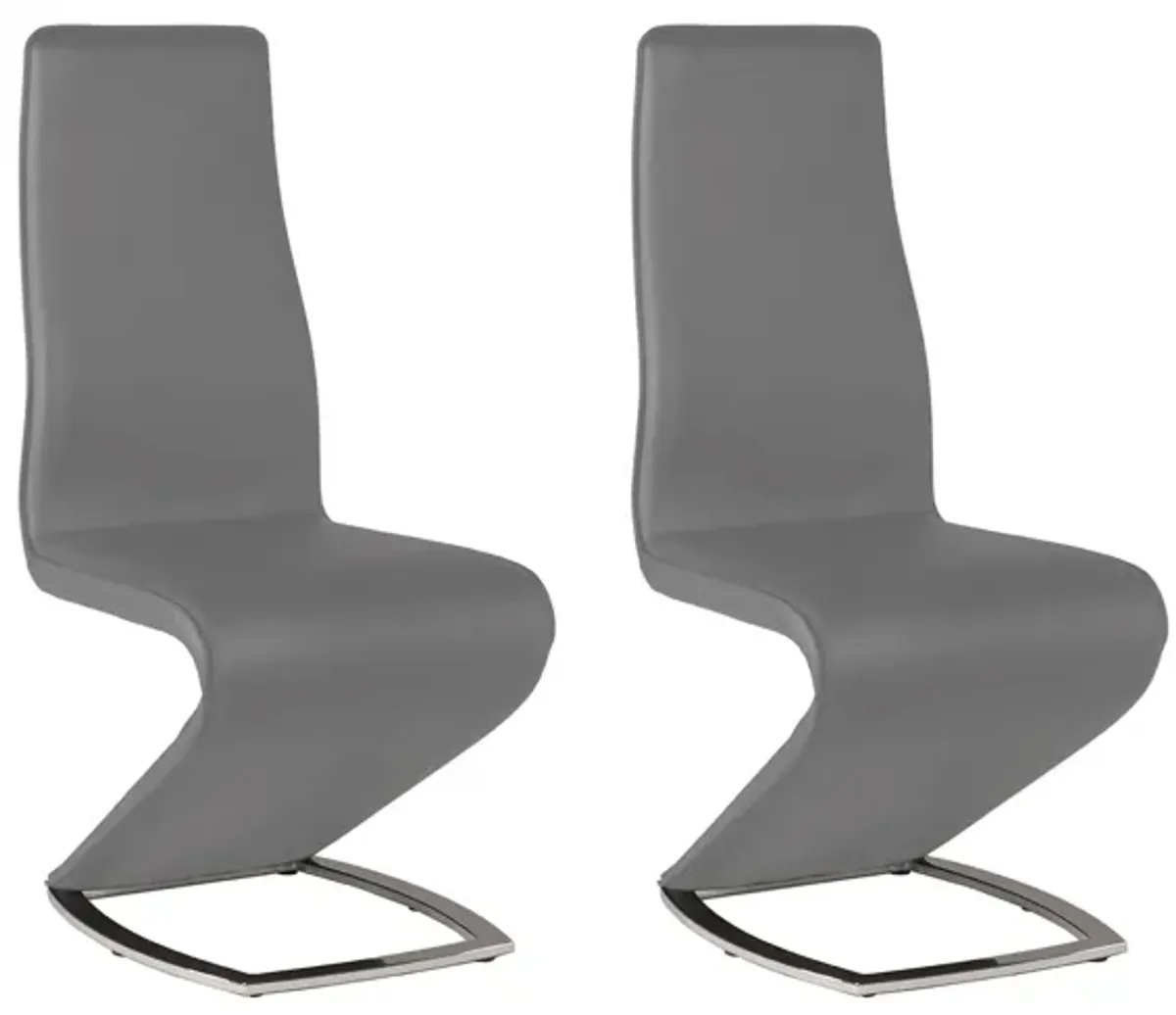 Tarra Dining Chair - Set of 2 in Gray by Chintaly Imports