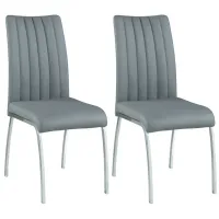 Vanessia Dining Chair - Set of 2 in Gray by Chintaly Imports