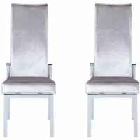 Anabel Dining Chair - Set of 2 in Gray by Chintaly Imports