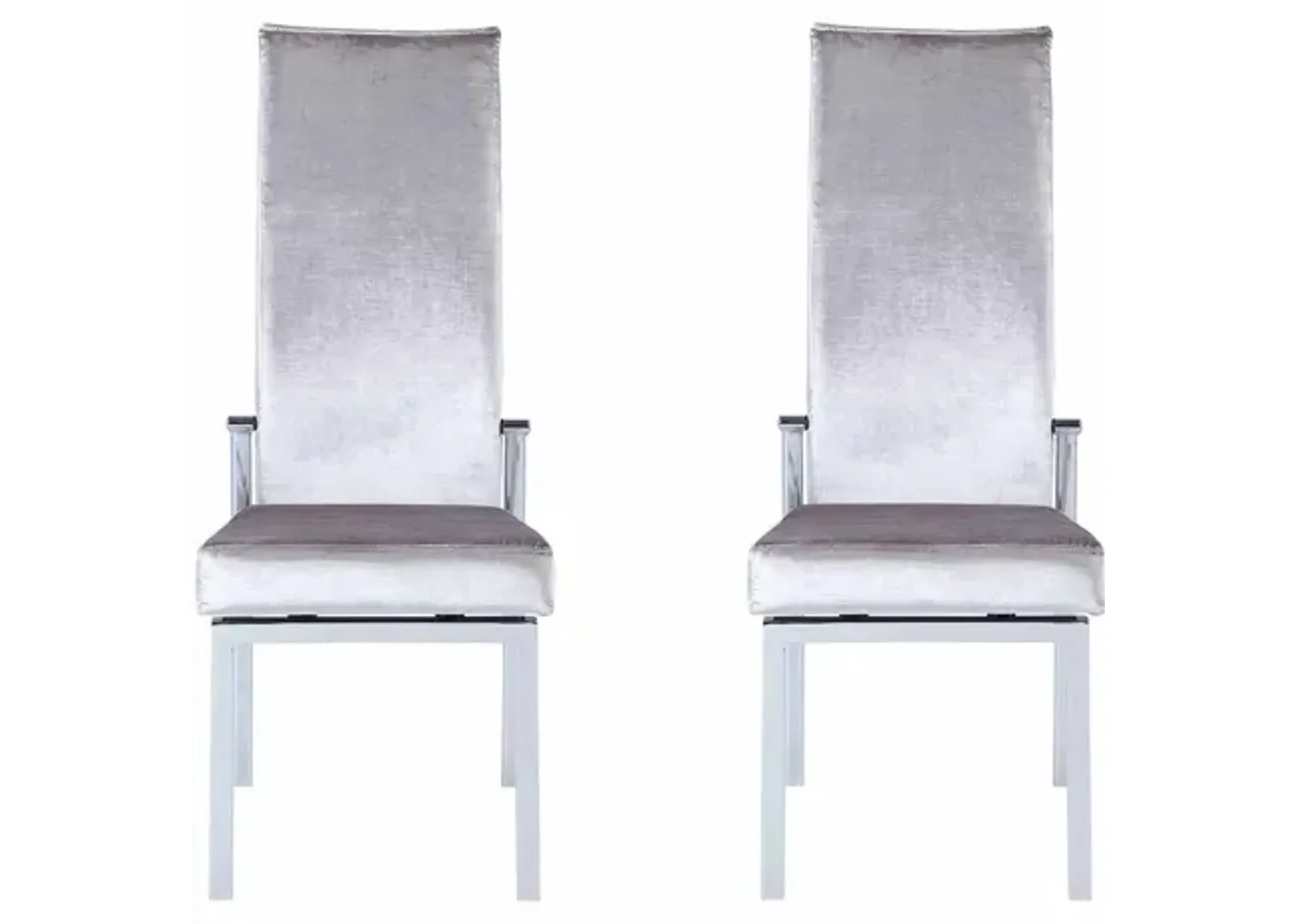 Anabel Dining Chair - Set of 2 in Gray by Chintaly Imports