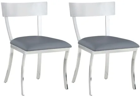 Maiden Side Chair - Set of 2 in Gray by Chintaly Imports
