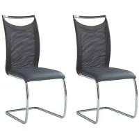 Nadine Side Chair - Set of 2 in Gray by Chintaly Imports