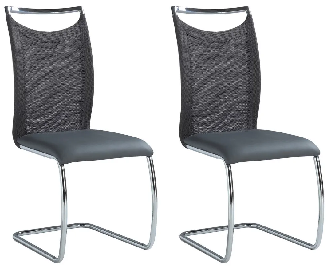 Nadine Side Chair - Set of 2 in Gray by Chintaly Imports