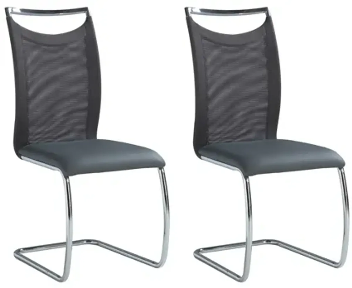 Nico Side Chair - Set of 2 in Gray by Chintaly Imports