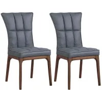 Peggie Dining Chair - Set of 2 in Gray and Brown by Chintaly Imports