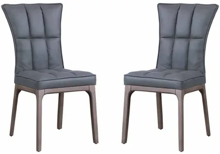 Peggie Dining Chair - Set of 2 in Gray by Chintaly Imports