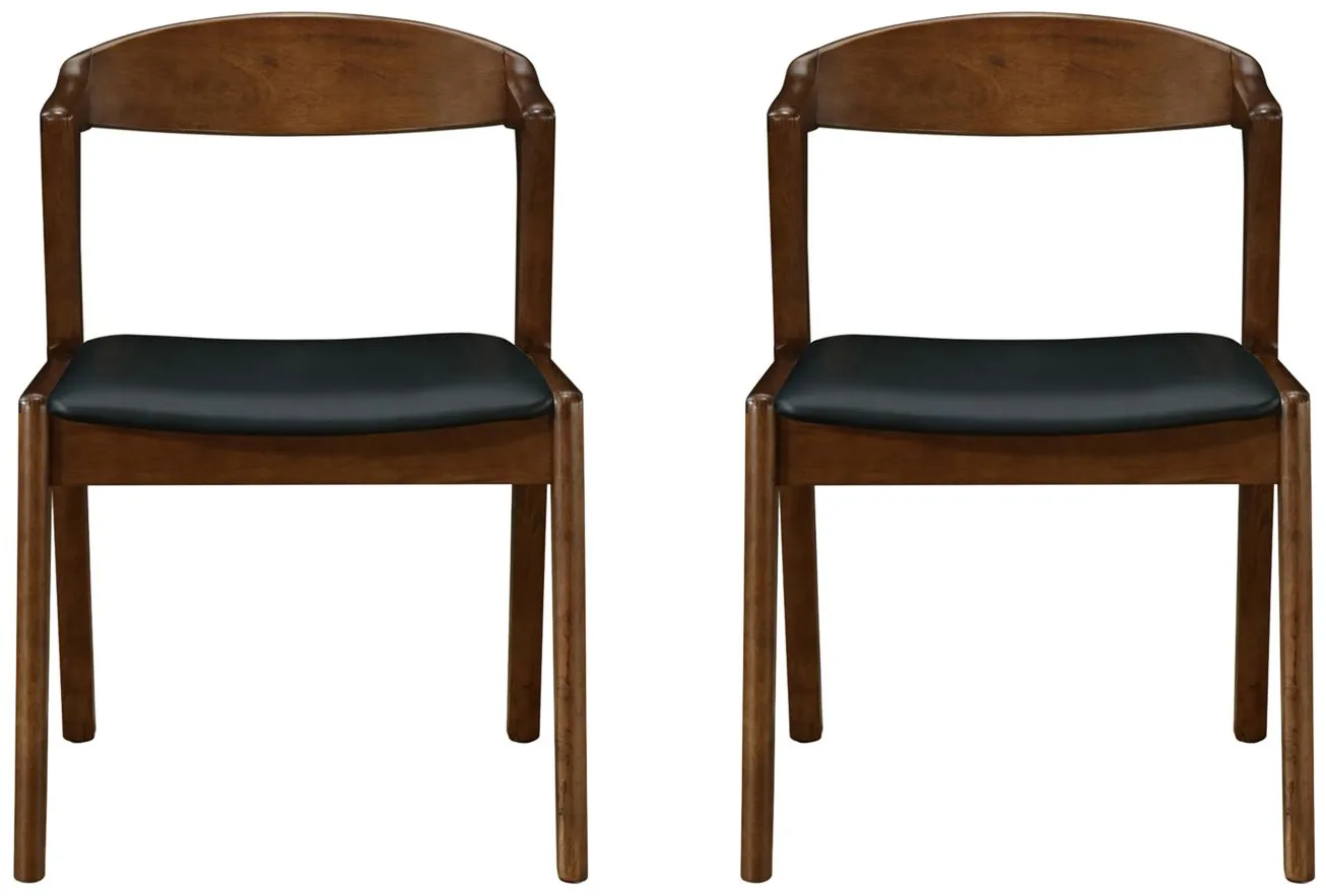 Swansea Dining Chair: Set of 2 in Black by New Pacific Direct