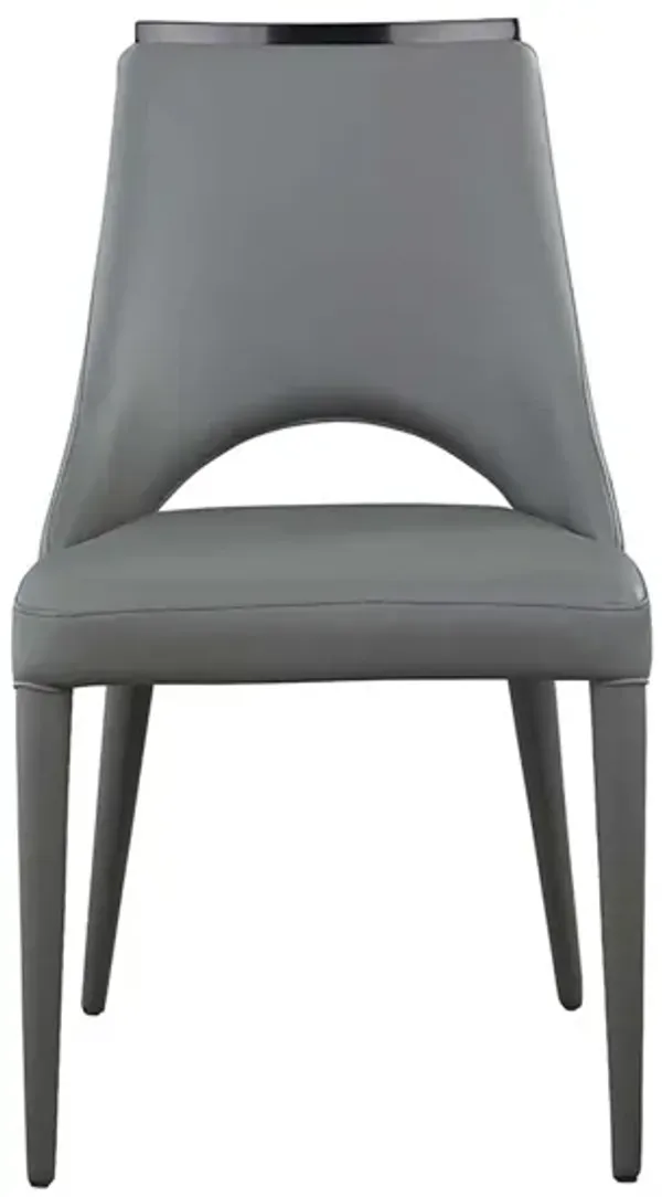 Samira Side Chair - Set of 2