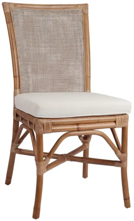 Tatum Side Chair: Set of 2 in Canary Brown by New Pacific Direct
