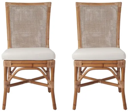 Tatum Side Chair: Set of 2 in Canary Brown by New Pacific Direct