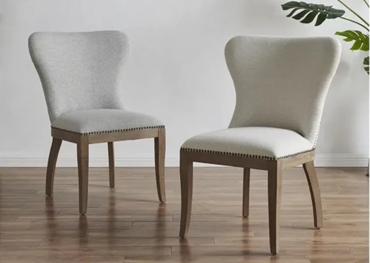 Dorsey Dining Chair: Set of 2