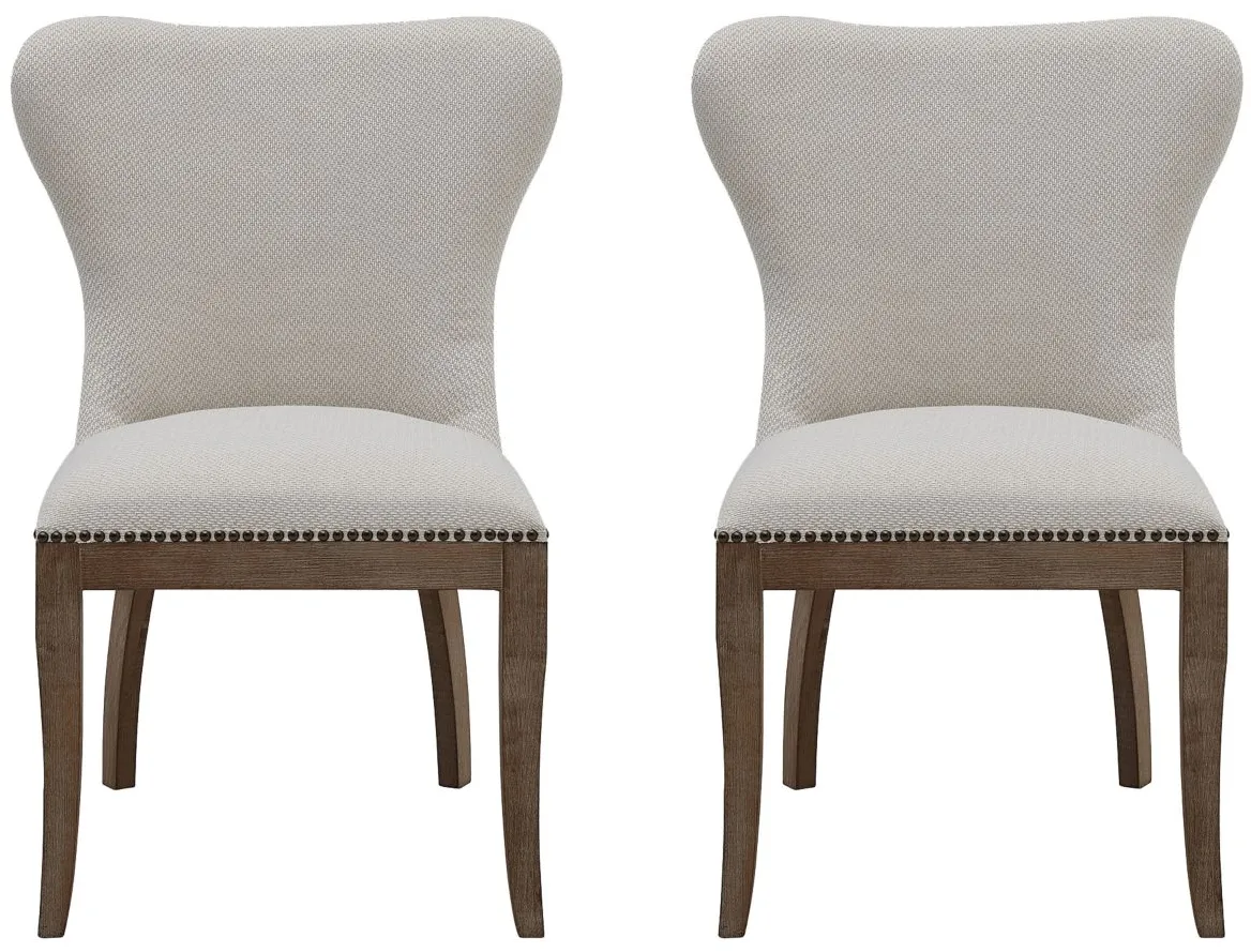 Dorsey Dining Chair: Set of 2 in Cardiff Cream by New Pacific Direct