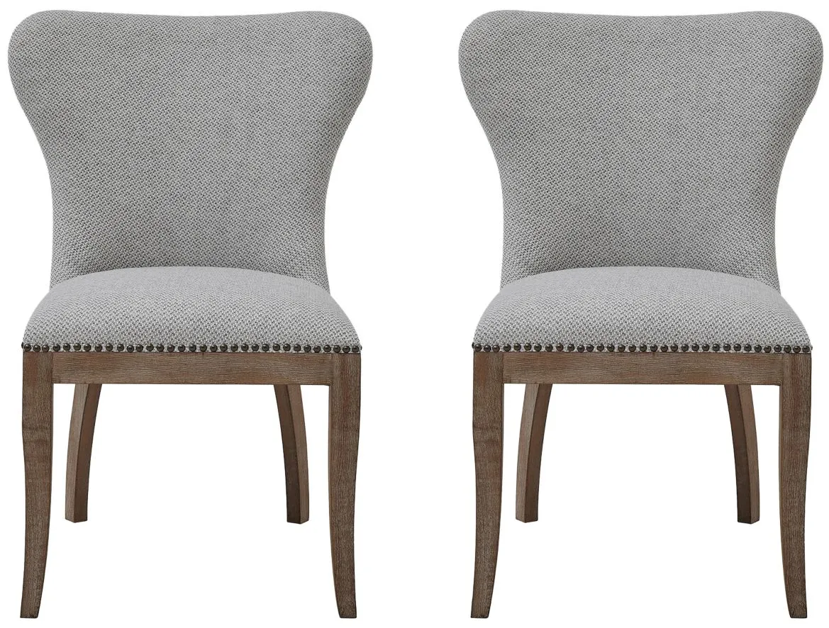 Dorsey Dining Chair: Set of 2 in Cardiff Gray by New Pacific Direct