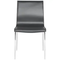 Colter Dining Chair in DARK GREY by Nuevo
