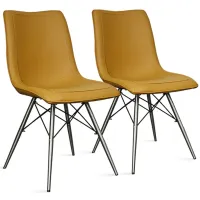 Blaine Dining Chair Stainless Steel Legs: Set of 2 in Turmeric by New Pacific Direct