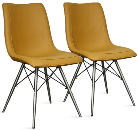 Blaine Dining Chair Stainless Steel Legs: Set of 2 in Turmeric by New Pacific Direct