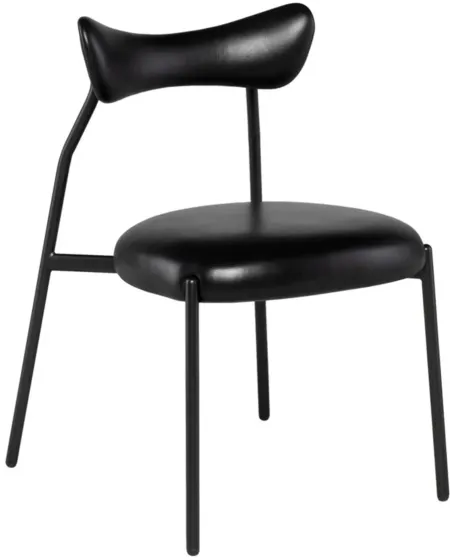 Dragonfly Dining Chair in BLACK by Nuevo