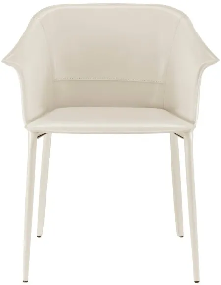 Callie Dining Arm Chair in Vanilla by New Pacific Direct