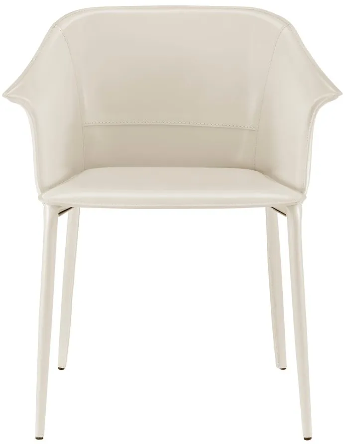 Callie Dining Arm Chair in Vanilla by New Pacific Direct