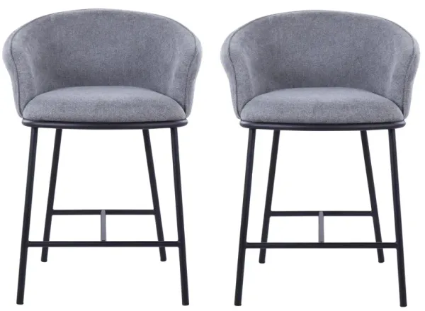 Ashland Counter Stool- Set of 2