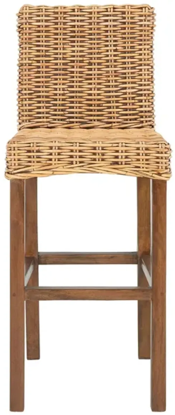 Rei Bar Stool