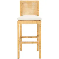 Percy Cane Bar Stool with Cushion in White by Safavieh