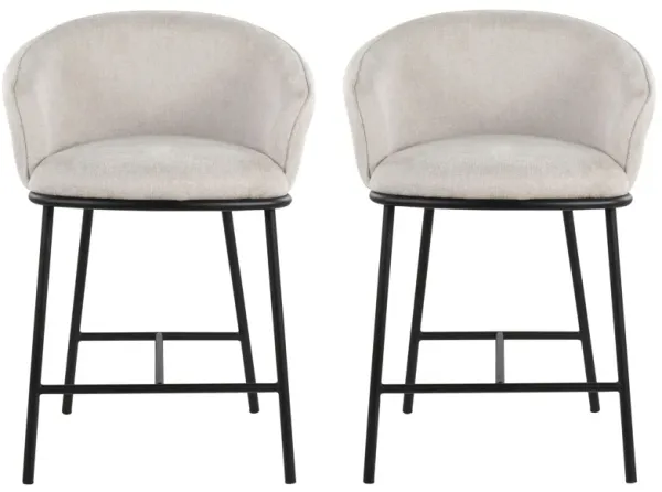 Ashland Counter Stool- Set of 2