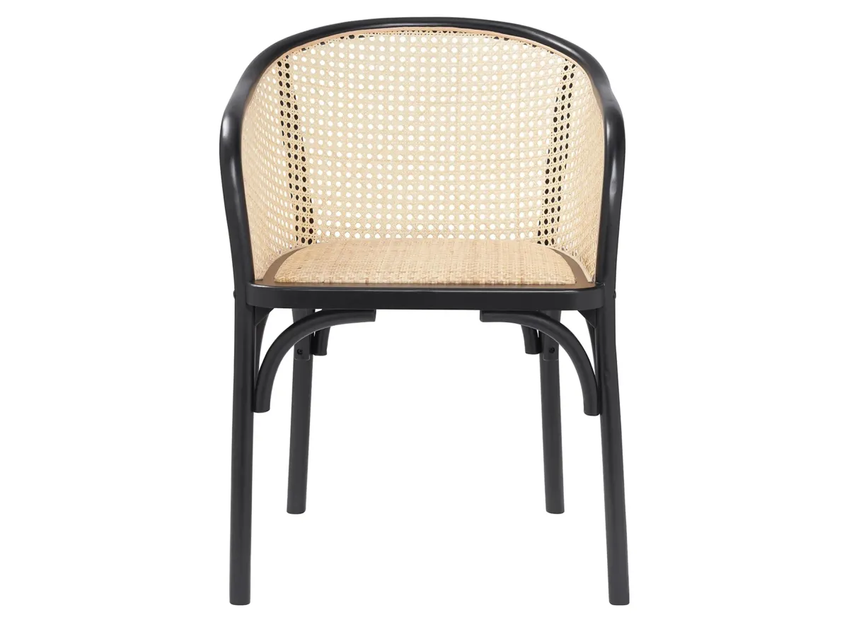 Elsy Armchair in Black by EuroStyle