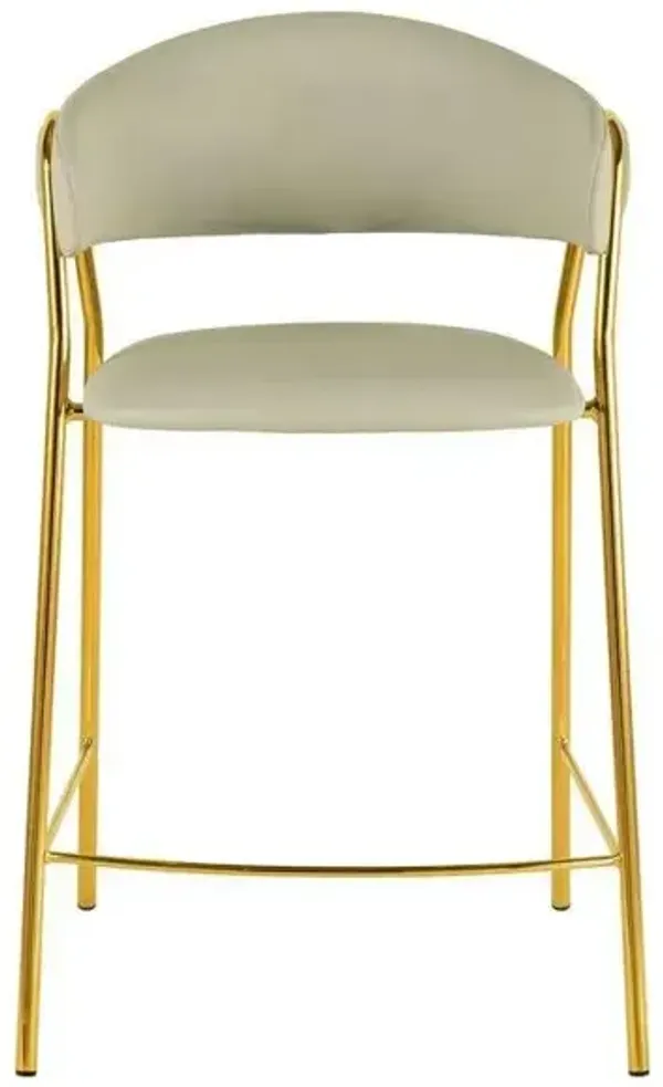 Lara Counter Stool - Set of 2