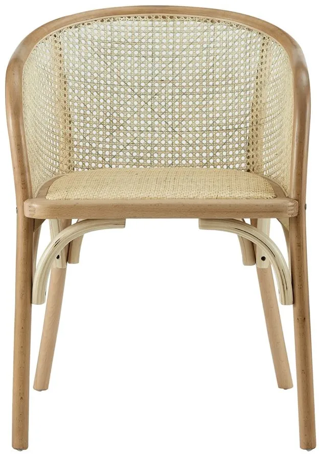 Elsy Armchair in Natural by EuroStyle