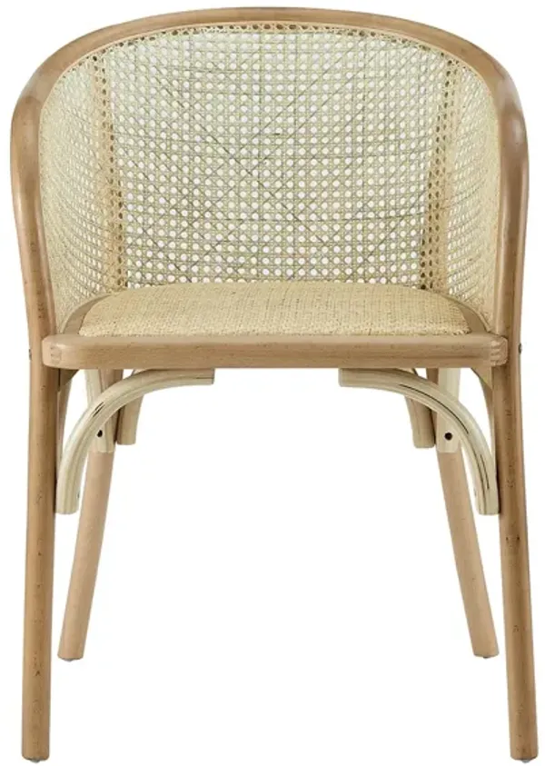 Elsy Armchair
