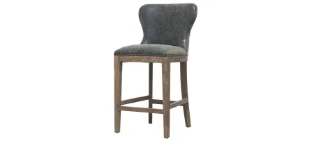 Dorsey Counter Stool in Nubuck Charcoal by New Pacific Direct