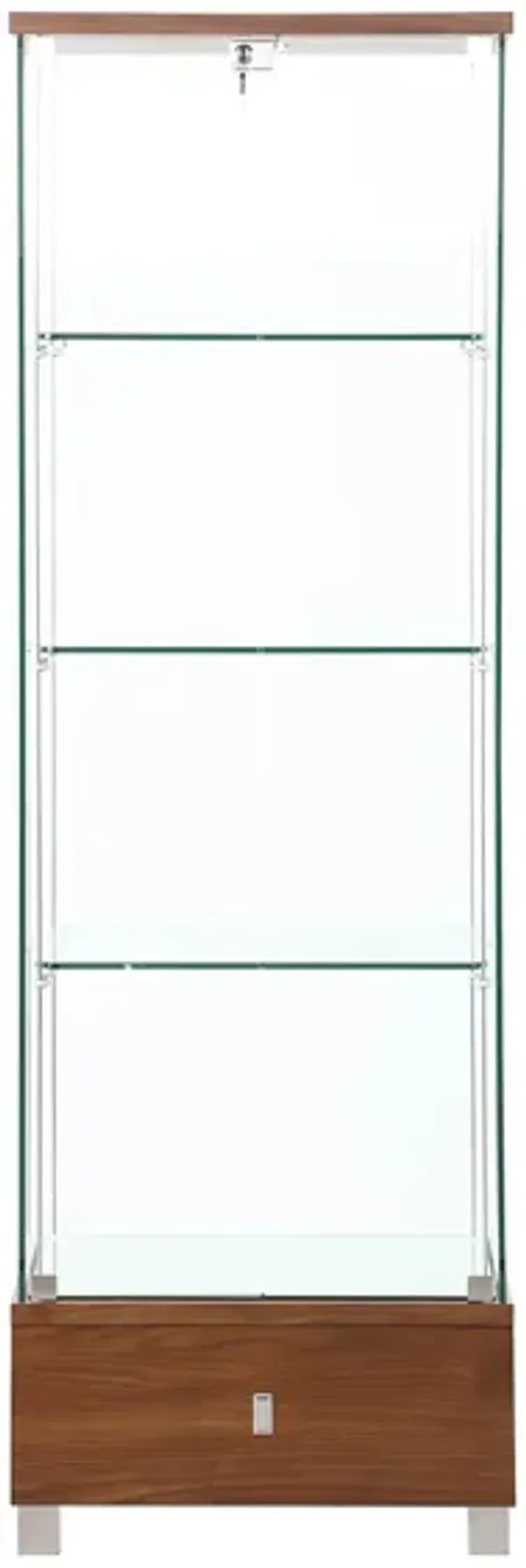 Kevin Glass Curio w/ LED Lights