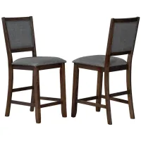 Chesney Counter Chairs - Set of 2 in FALCON BROWN by A-America