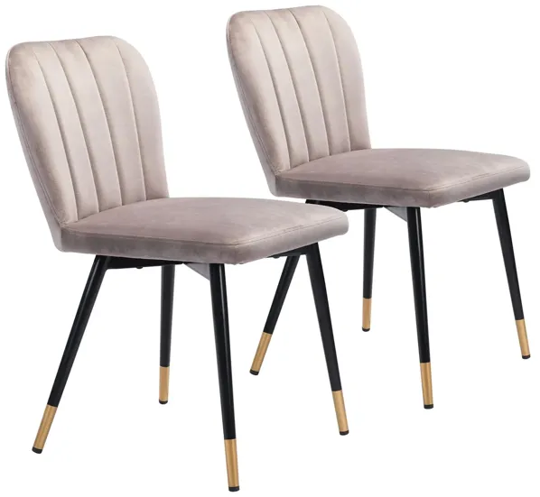 Manchester Dining Chair: Set of 2 in Gray, Black & Gold by Zuo Modern