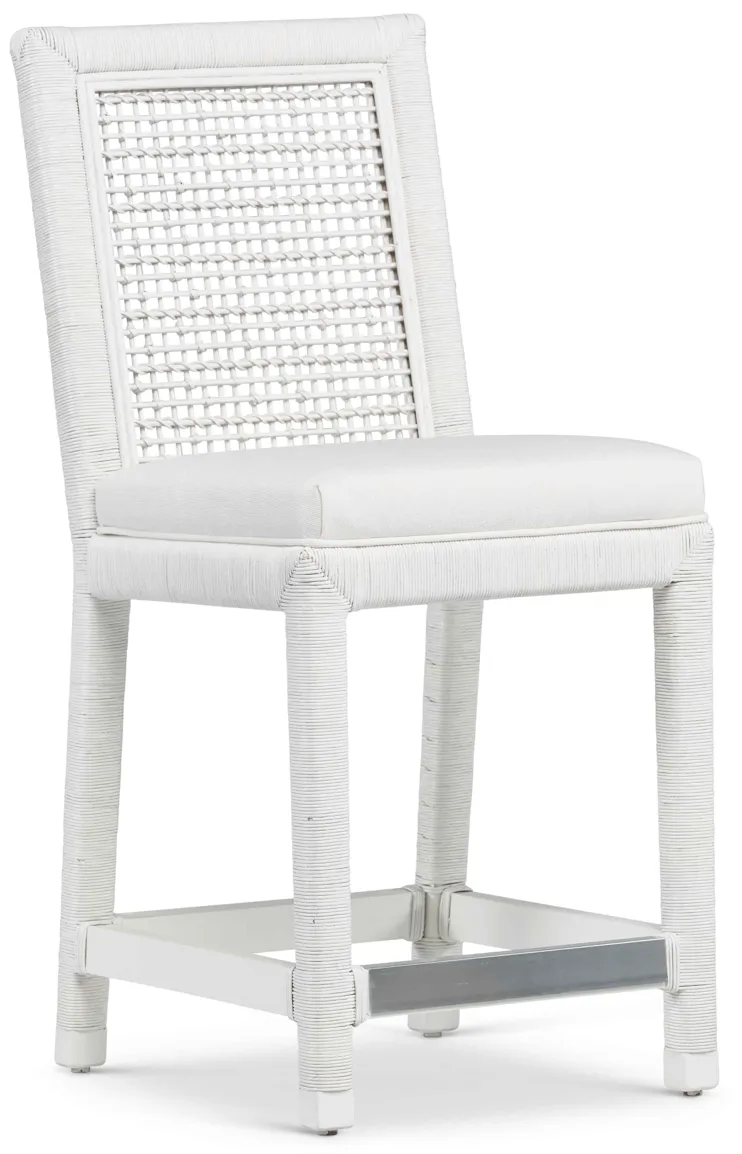 Coral Bay Counter Stool In Frost