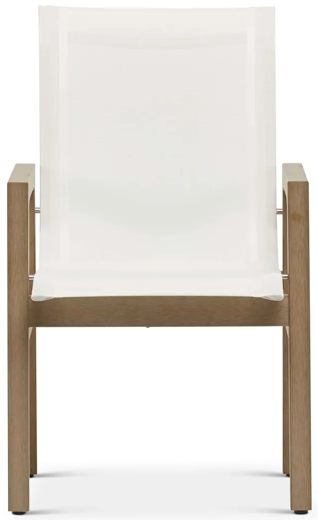 Santa Rosa Arm Chair