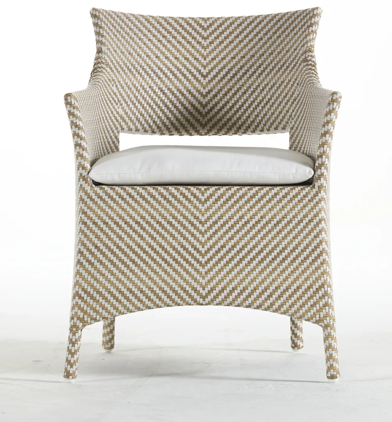 Bari Arm Chair