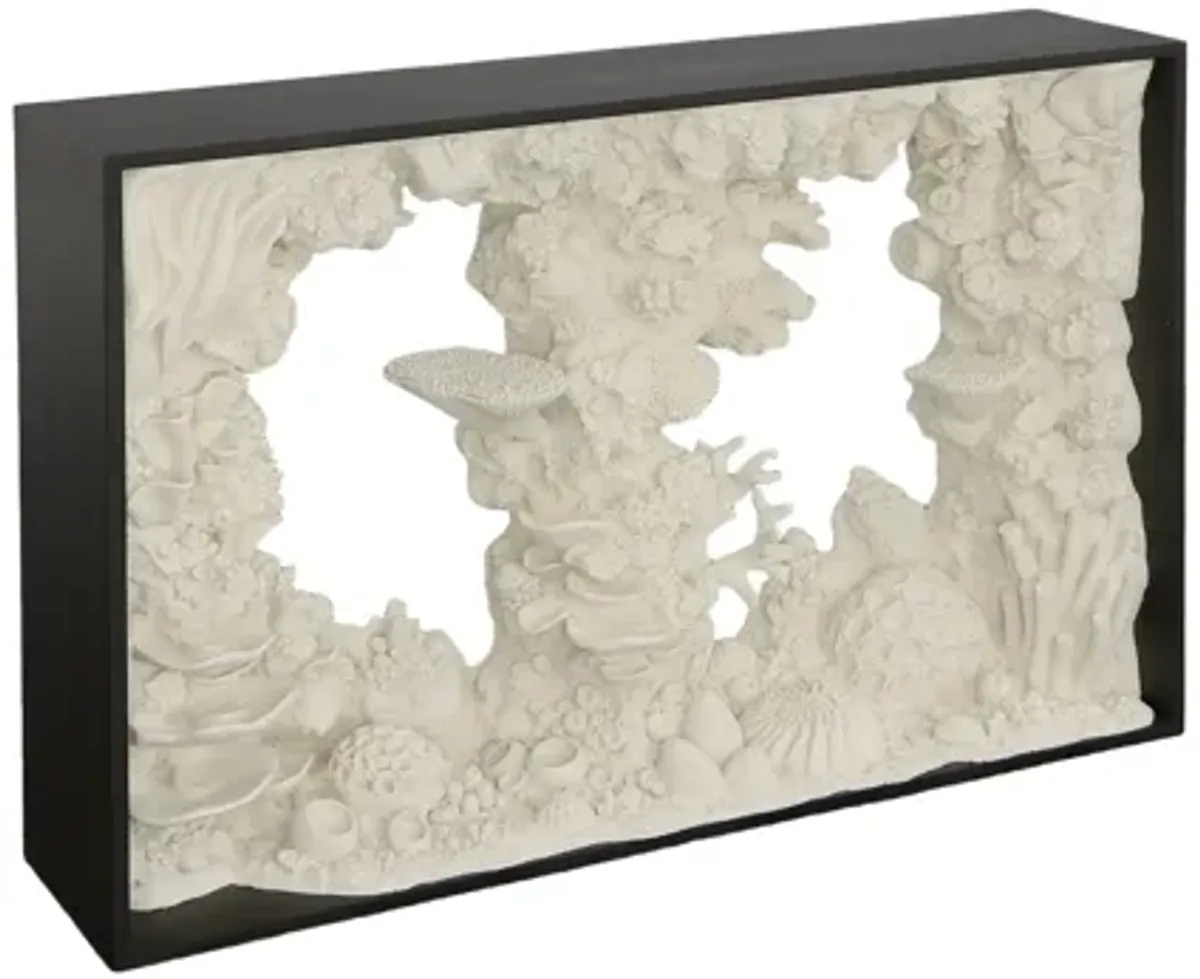 Metal Framed Reef Console