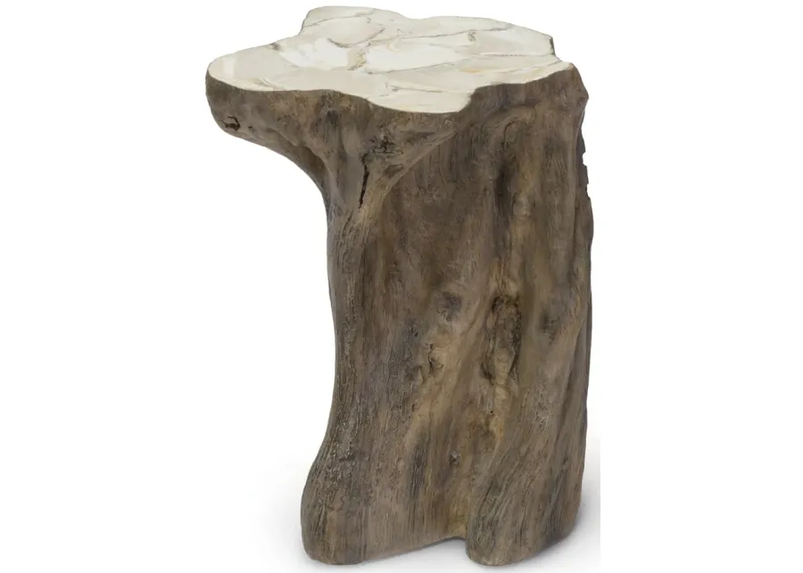 Chloe Fossilized Clam Stump Table