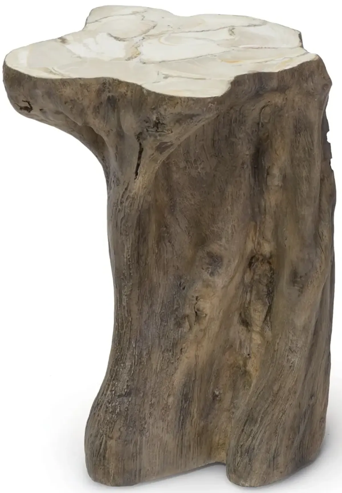 Chloe Fossilized Clam Stump Table