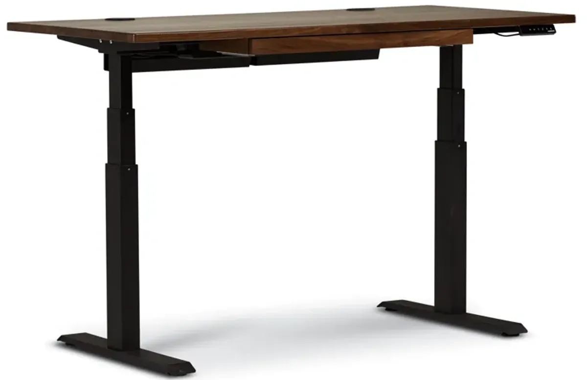 Intel Sit-Stand Adjustable Height Desk